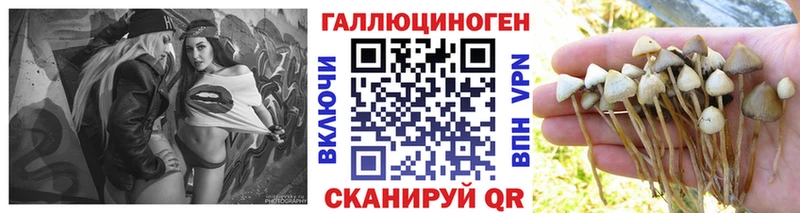omg сайт  Сызрань  Псилоцибиновые грибы ЛСД 